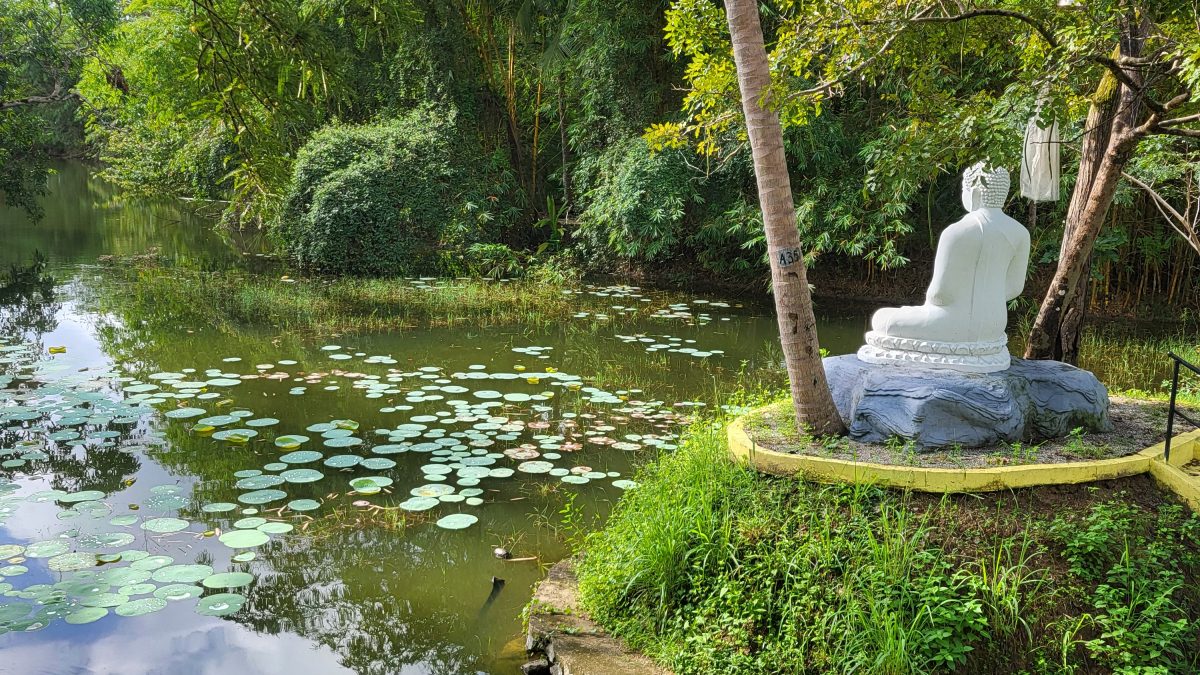Ayurveda Klinik